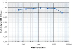 CTCF, Rabbit anti-Human, Polyclonal Antibody, Abnova 50&mu;g; Unconjugated:Antibodies,