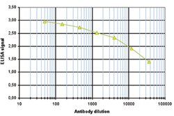 HIST3H2A, Rabbit anti-Human, Polyclonal Antibody, Abnova 50&mu;g; Unconjugated:Antibodies,