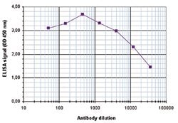 HIST1H4A, Rabbit anti-Human, Polyclonal Antibody, Abnova 50&mu;g; Unconjugated:Antibodies,