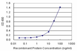 CD33 (Human) Matched Antibody Pair, Abnova 1 Set; Unconjugated:Antibodies