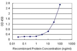 BCAP29 (Human) Matched Antibody Pair, Abnova 1 Set; Unconjugated:Antibodies