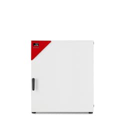 BINDER Serie FED Avantgarde.Line - Trocken- und Wärmeschränke, mit Umluft