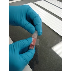 Brady X1500 Thermal Transfer Labels, THT-133-461-1.5-SC, Quantity: Pack