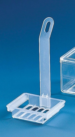 BRAND&trade;&nbsp;Polypropylene Trays for Staining Trough