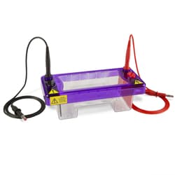 Fisherbrand&trade;&nbsp;multiSUB&trade; Mini Horizontal Gel System