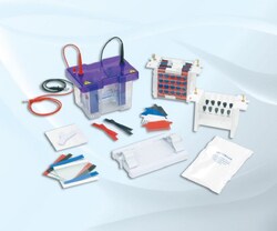 Fisherbrand™ omniPAGE Mini Vertical Electrophoresis Modular System