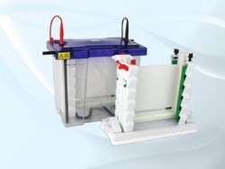 Fisherbrand Notched Plates with 1mm Spacers Verti-Gel Maxi 2-Gel Vertical Gel Electrophoresis System | Buy Online | Fisher Scientific