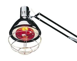 Cole Parmer REPLACEMEMENT BULB 250 W, Quantity: Each