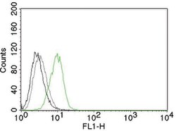 p27Kip1 Mouse, Clone: DCS-72.F6, enQuireBio 100 &mu;g:Antibodies, Monoclonal