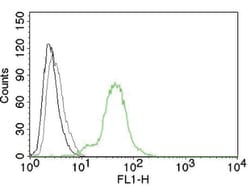 ER-beta1 Mouse, Clone: ERb455, enQuireBio 100 &mu;g:Antibodies, Monoclonal