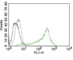 Nucleolin Mouse, Clone: 364-5, enQuireBio 100 &mu;g:Antibodies, Monoclonal