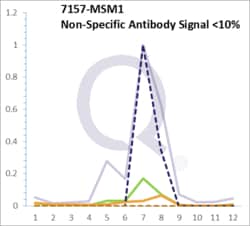 p53 Tumor Suppressor Protein Mouse, Clone: BP53-12, enQuireBio 100 &mu;g | Buy Online | EnquireBio | Fisher Scientific