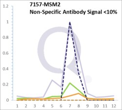 p53 Tumor Suppressor Protein Mouse, Clone: DO-7, enQuireBio 100 &mu;g:Antibodies,