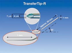 Eppendorf&trade;&nbsp;TransferTip R (ICSI)