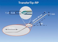 Eppendorf&trade;&nbsp;TransferTip RP (ICSI)