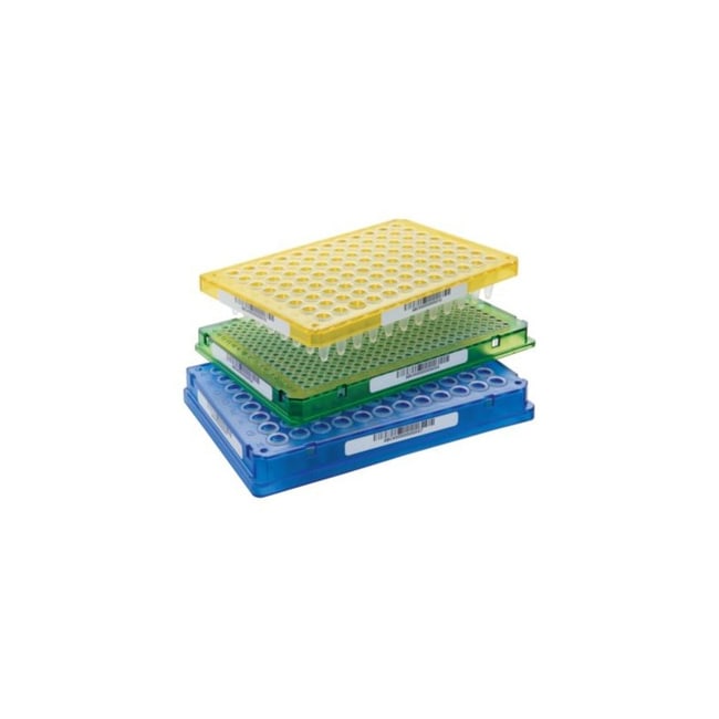 Eppendorf™ 96Well Flat Bottom PCR Microplates Color Clear Products Fisher Scientific