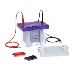 Fisherbrand™ omniPAGE Mini Vertical Electrophoresis System