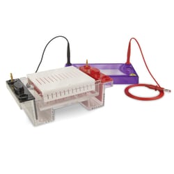 Fisherbrand&trade;&nbsp;multiSUB&trade; Midi96 Horizontal Gel System