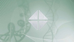 Motic™ Attachable Mechanical Stage for AE