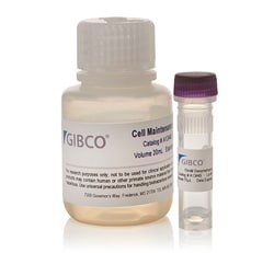 Gibco&trade;&nbsp;Primary Hepatocyte Maintenance Supplements