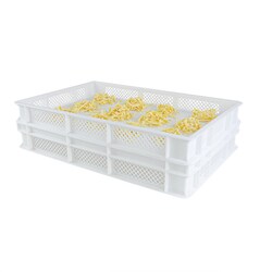 Gilac Finely Perforated Crate 12 L | Buy Online | Gilac&trade; | Fisher Scientific
