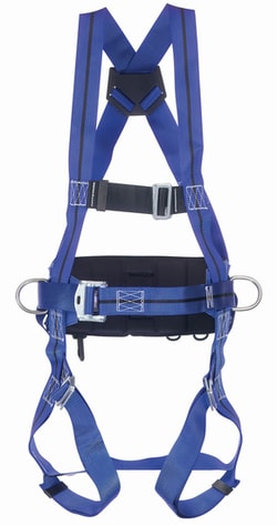 Honeywell Safety Products TITAN 1PT HARNESS W/ POSITION BELT, Quantity: