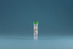 IBA Lifesciences&nbsp;Strep-tag&trade;II Peptide