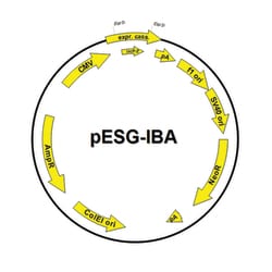 IBA Lifesciences StarGate pESG-IBA Vectors for Mammalian Expression