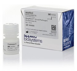 Applied Biosystems&trade;&nbsp;MagMAX&trade; Viral/Pathogen Proteinase K