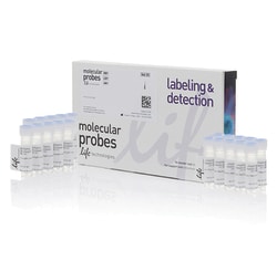 Invitrogen™ LysoTracker™ Red DND-99, special packaging