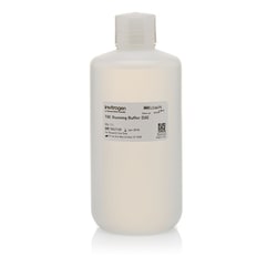 Invitrogen™ Novex™ TBE Running Buffer (5X)