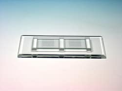 454 Zählkammer nach Mc Master mit 2 Zähl- feldernDeckglas mit 2 Zählnetzen