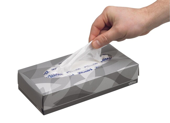 Kimberly Clark Professional Kleenex Facial Tissues Dimensions L X W 