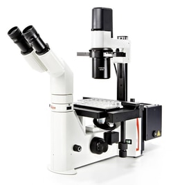 Leica Microsystems MICROSCOPE LEICA DM IL LED, Quantity: 1 pièce