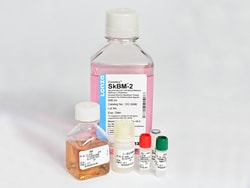 Lonza Skeletmuskelcellevækstmedie-2 Bulletkit 1 sæt | Buy Online | Lonza&trade; | Fisher Scientific