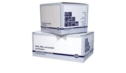 Macherey-Nagel NucleoSpin 8 RNA Core Kit (48x8) 48 x 8 preps for the isolation of total | Buy Online | Macherey-Nagel&trade; | Fisher Scientific