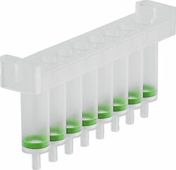 Macherey-Nagel NucleoSpin 8 Tissue Core Kit, 8-well kit for DNA from cells and tissue No. of Reactions: 48 x 8 | Buy Online | Macherey-Nagel&trade; | Fisher Scientific