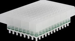 Macherey-Nagel NucleoSpin 96 Plant Core Kit, 96-well kit for DNA from plants:Molecular