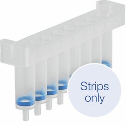 Macherey-Nagel NucleoSpin 8 Virus Strips for viral RNA/DNA purification 60 x 8-Well Strips | Buy Online | Macherey-Nagel&trade; | Fisher Scientific