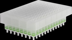 Macherey-Nagel NucleoSpin 96 Tissue, 96-well kit for DNA from cells and tissue 192 Preps | Buy Online | Macherey-Nagel&trade; | Fisher Scientific