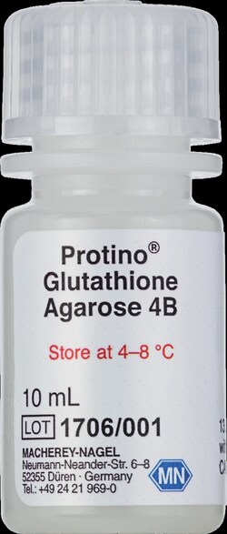 Macherey-Nagel Protino Glutathione Agarose 4B for GST-tag Protein Purification 1 mL | Buy Online | Macherey-Nagel&trade; | Fisher Scientific