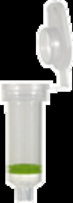 Macherey-Nagel NucleoSpin mikrobielle DNA-Säulen 50 pro Packung | Buy Online | Macherey-Nagel&trade; | Fisher Scientific