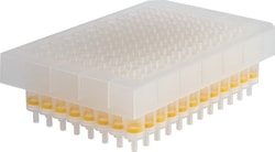 Macherey-Nagel&trade;&nbsp;NucleoSpin&trade; 96 Flash-filterplatta, 96-brunnars platta för storkonstruktionsplasmid-DNA