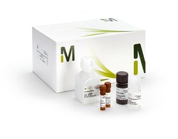 Cole-Parmer&trade;&nbsp;Repair Kit for Vacuum/Pressure Pump