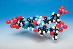 Molymod™ Molecular model with stand DNA model-two layer Molymod