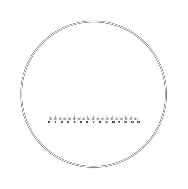 Motic Reticle 10 Div 14mm 23mm Dia Diameter 23mm General Microscope Accessories Fisher Scientific