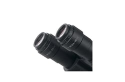 Motic Carl Zeiss Eyes Wide Field 1 Piece | Buy Online | Motic&trade; | Fisher Scientific