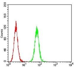 5-HT3B Antibody (2H9H5) - BSA Free, Novus Biologicals 0.1 ml; Unconjugated:Antibodies,