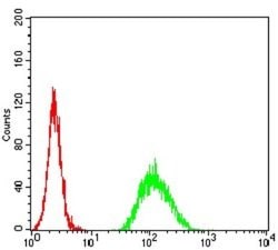 ADAMTS1 Antibody (1C12E6) - BSA Free, Novus Biologicals 0.1 ml; Unconjugated:Antibodies,