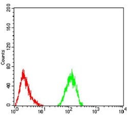 ALDH6A1 Antibody (6H9B8) - BSA Free, Novus Biologicals 0.1mg; Unlabeled:Antibodies,